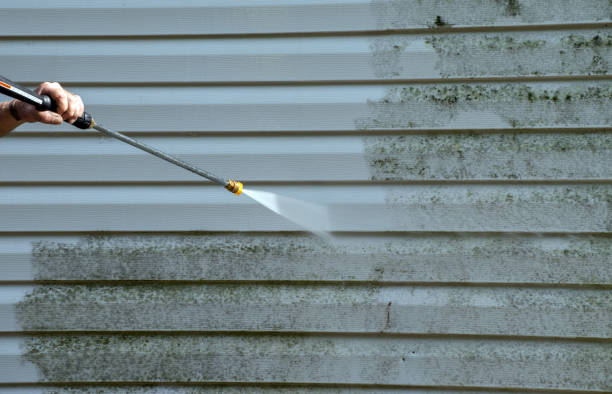 Best Solar Panel Cleaning  in Chualar, CA
